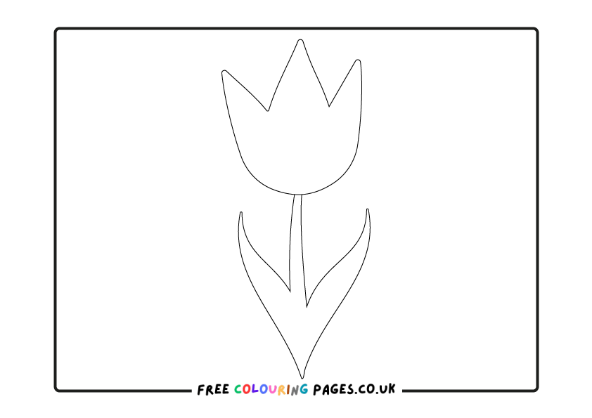 Free Tulips Colouring Pages